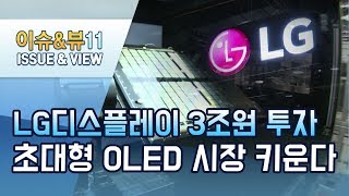 LG디스플레이 초대형 OLED 시장 키운다…105세대 공장확충에 3조원 투자  머니투데이 방송 뉴스 [upl. by Mavis103]