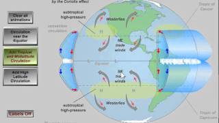 Global Atmospheric Circulation [upl. by Jago8]