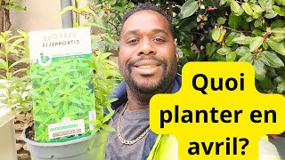 Que planter au mois davril [upl. by Zrike]