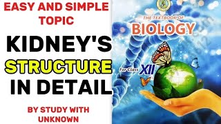 Kidneys structure class 12 biology [upl. by Germayne]