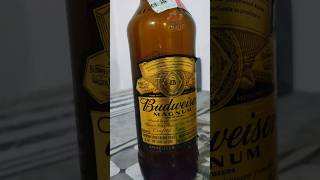 💥 For Beer lovers മലയാളം കേരളം liquor കുപ്പി മദ്യം collection beer budweiser [upl. by Enidlarej204]