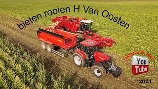 Vervaet Q616 bietenrooier H van oosten meeden transport nieuw case Puma 200 oost Groningen farmers [upl. by Nessaj]