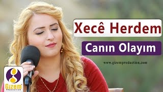 Xecê Herdem Canın Olayım Akustik [upl. by Kathlene]