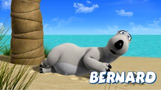 🐻‍❄️ BERNARD  What does BERNARD do during the summer Full Episodes  VIDEOS and CARTOONS FOR KIDS [upl. by Enniroc413]