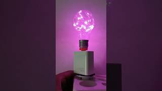 Converting an incandescent lamp to a very beautiful decorative lamp [upl. by Alleuqcaj]