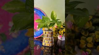 DIY Recycle Plastic Jar planter🪴 shorts explore diy youtubeshorts craft shortsfeed recycling [upl. by Tace898]