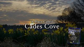 A Place Called Cades Cove A new film from GSMA [upl. by Zhang637]