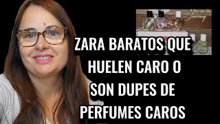 Haul perfumes ZARA BARATOS que se PARECEN a los CAROS [upl. by Mayman631]