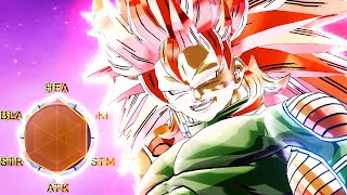 The Definitive Super Saiyan God Build [upl. by Penni]