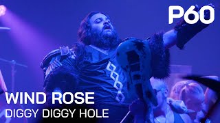 Wind Rose  Diggy Diggy Hole  Live  P60 Amstelveen [upl. by Sena]