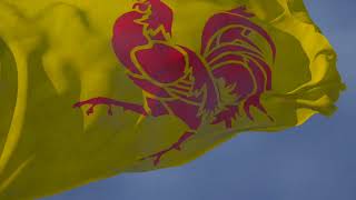 Waving flag and Regional Anthem of Wallonia quotLe Chant des Wallonsquot [upl. by Rivkah883]