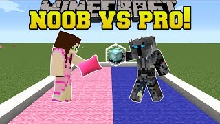 Minecraft NOOB VS PRO  PILLOW FIGHT  MiniGame [upl. by Ecnerual]