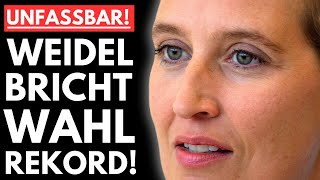 🚨WAHLHAMMER WEIDEL BRICHT URALTREKORD AfD ÜBERHOLT CDU IN UMFRAGEN🚨 [upl. by Ettebab300]