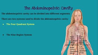 CHAPTER 1 Introduction to Anatomy and Physiology [upl. by Hazrit]