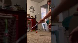 Knee Hockey with Minnesota Wild goal horn [upl. by Ecnar]