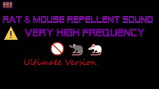 ⚠️Ultimate Version 🚫🐀🐁 Rat amp Mouse Repellent Sound Very High Frequency 6 Hour [upl. by Derdle]