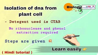 Isolation of DNA from plant cell ll biology ll [upl. by Alledi58]