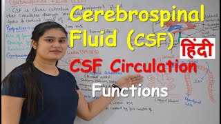 Cerebrospinal fluid in Hindi CSF  Functions  Production  CSF Circulation  Choroid Plexus [upl. by Atiuqan995]