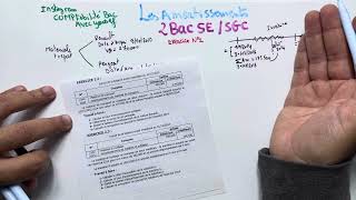 Les amortissements 2BAC SESGC exercice d’application balance partie 1 [upl. by Ardnaik]