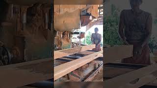 kayu keruing sawmill sawmillindonesia [upl. by Steven]