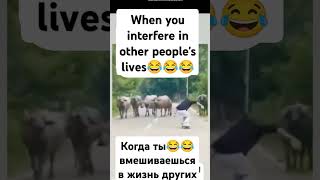 When you interfere in other peoples livesfunny video [upl. by Nibla]