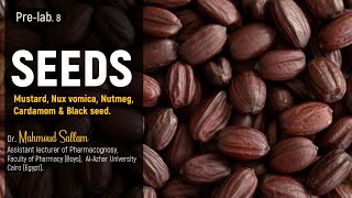 Pharmacognosy 1 Seeds Black mustard White mustard Nuxvomica Nutmeg Cardamom and Black seed [upl. by Johppa]