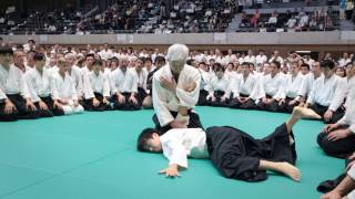 Aikido Class Moriteru Ueshiba Doshu  12th IAF Congress in Takasaki [upl. by Iarahs490]