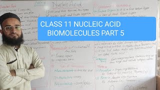 CLASS 11  NUCLEIC ACID  BIOMOLECULES  PART 5 [upl. by Aseefan905]