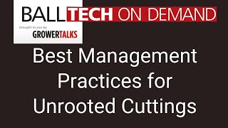 Best Management Practices for Unrooted Cuttings [upl. by Bartolemo1]