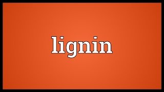 Lignin Meaning [upl. by Acinoryt912]