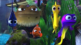 Finding Nemo  Nemo In Fishtank Telugu  Telugu Dubbed Nemo [upl. by Woodcock]