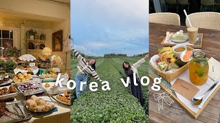 korea vlog day 10amp11💐💌  innisfree jeju house  osulloc tea museum  cafe hopping in yeonnam [upl. by Gris]