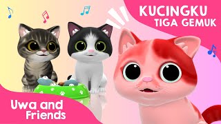 Kucingku Tiga Gemuk  Lagu Kucingku Telu  Lagu Anak Anak Lucu [upl. by Adihsaar]