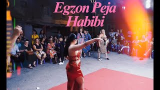 Egzon Peja Habibi 2024 Official Video  Cover [upl. by Bibah]