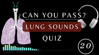 Name That Lung Sound Quiz  Normal and Abnormal lung sounds types respiratory [upl. by Pedaias131]