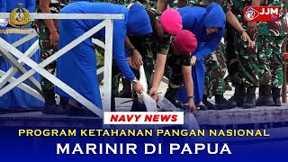 Navy News  PROGRAM KETAHANAN PANGAN NASIONAL MARINIR DI PAPUA [upl. by Binette]