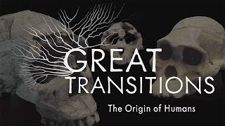 Great Transitions The Origin of Humans — HHMI BioInteractive Video [upl. by Truitt905]