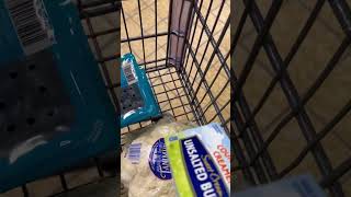 Weekly ALDI Grocery Haul Pin comment to full video w meal plan 🛒 groceryhaul aldigroceryhaul [upl. by Anglo]