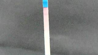 One Step Pregnancy Dipstick Test [upl. by Heddie442]