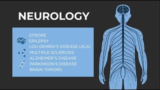 What is Neurology  American Academy of Neurology [upl. by Calandra687]