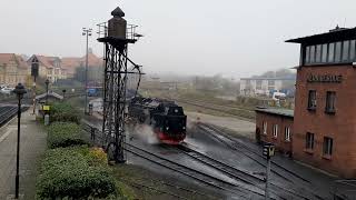 🌲🍁🍂🚂🚉 Bahnbetriebswerk Wernigerode im dichten Nebelschein 10112024 🚉🚂🍂🍁🌲 [upl. by Ennagrom]