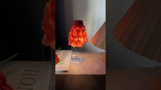 I picked some koelreuteria fruits and made a small table lamp for autumn [upl. by Atrebor]