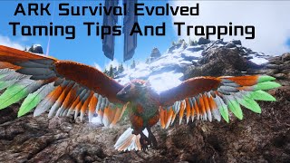 ARGENTAVIS TAMING Tips And TrappingARK Survival Evolved [upl. by Ainsworth]