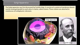 Standard 9 Science The cell organelles II  Quick revision  NCERT  Animation [upl. by Bathsheeb550]