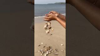 Turning beach treasures into beautiful wall decor—watch the magic of seashells unfold 🌊🌿 Sea [upl. by Hynda]