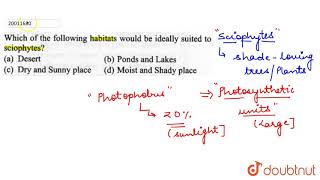 Which of the following habitats would be ideally suited to sciophytes [upl. by Nalyk911]