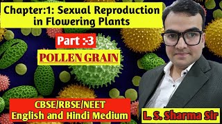 NeetNCERT BiologyCBSE BiologySEXUAL REPRODUCTION IN FLOWERING PLANTPollen Grain PART3 [upl. by Assirram794]