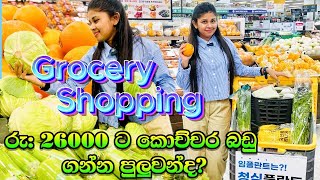 ඊ මාට් එකේ grocery shopping යමුද🛒🥦🥕emartshopping shoppingkorea sinhala koreanfoodmarket [upl. by Melia]