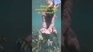 Diving and snorkeling in Porto de Galinhas Brazil2🇧🇷 [upl. by Akerahs]