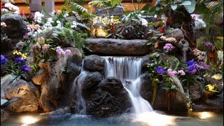 4K Walt Disney World’s Polynesian Resort Relaxing amp Peaceful Waterfalls [upl. by Nikaniki]